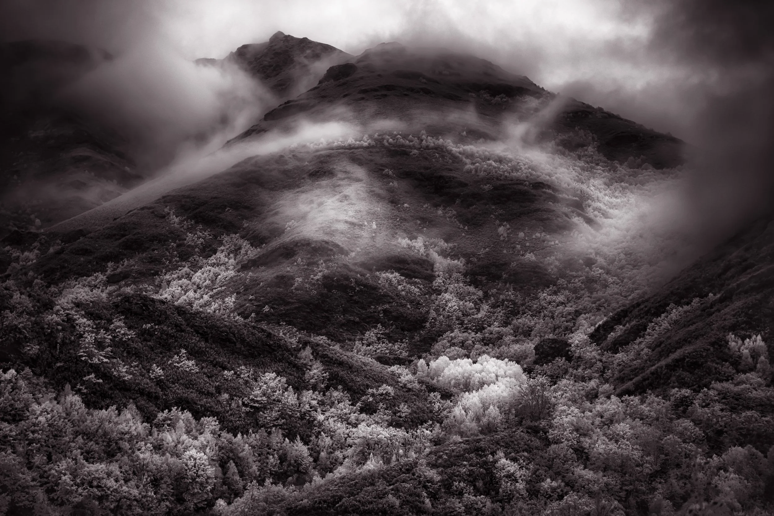 Twenty Alternative Process Photographers You Need to Know